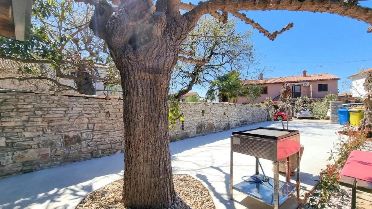 Casa Mora Apartment Novigrad  Croatia